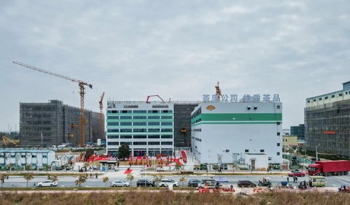 茶里集團南沙總部落成，推動高端袋泡茶標準化、工業化與科技化進程