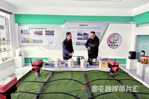 奎屯-獨(dú)山子經(jīng)濟(jì)技術(shù)開發(fā)區(qū) 政企銀聯(lián)動強(qiáng)鏈補(bǔ)短，技術(shù)開發(fā)提速園區(qū)高質(zhì)量發(fā)展